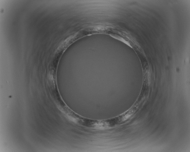 X0000078860415200611131208