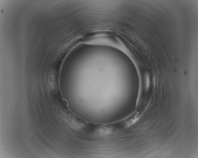 X0000078860416200611131208