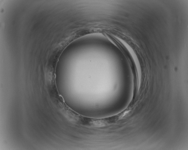 X0000078860417200611131208