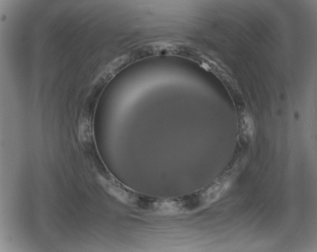 X0000078860419200611131208