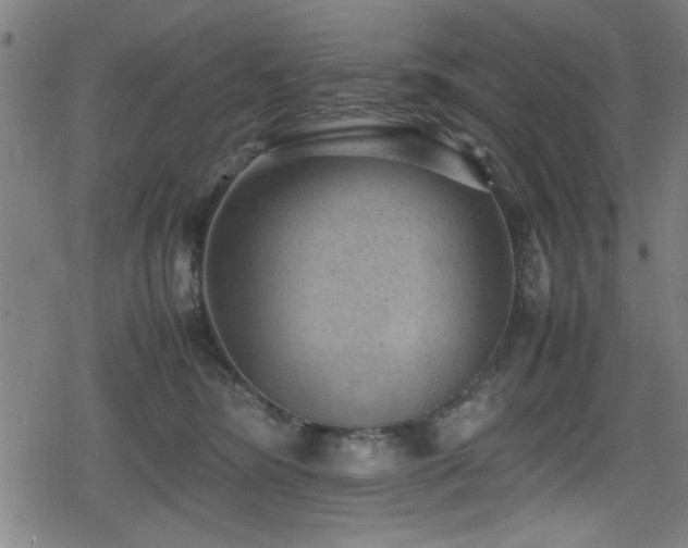 X0000078860420200611131208