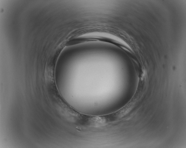 X0000078860421200611131208