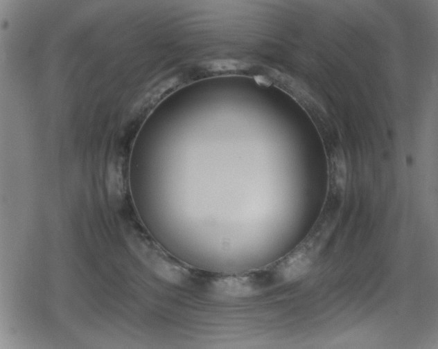 X0000078860422200611131208