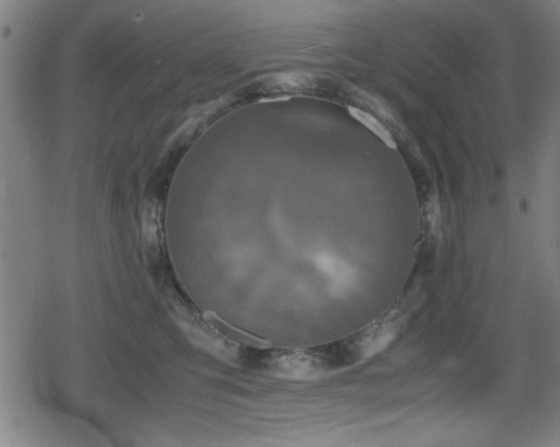 X0000078860423200611131208