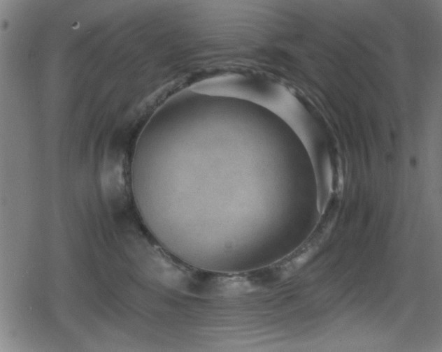 X0000078860424200611131208