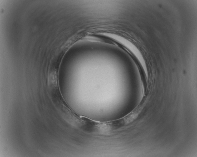 X0000078860425200611131208