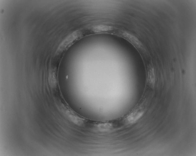 X0000078860426200611131208