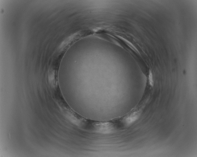 X0000078860428200611131208