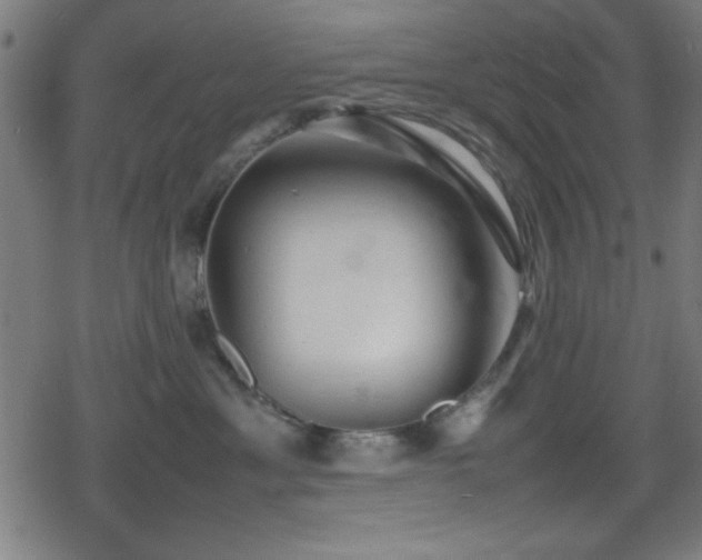 X0000078860429200611131208