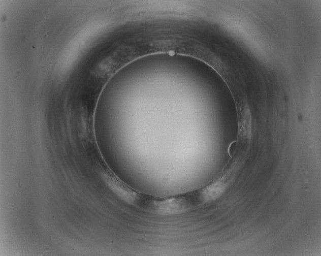 X0000078860430200611131208