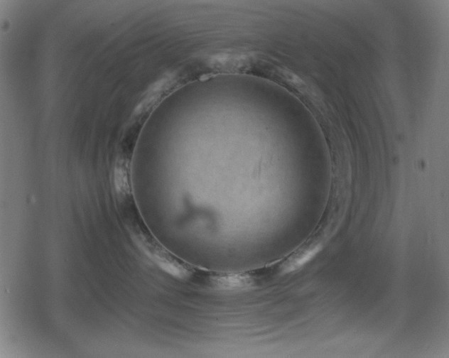 X0000078860432200611131207