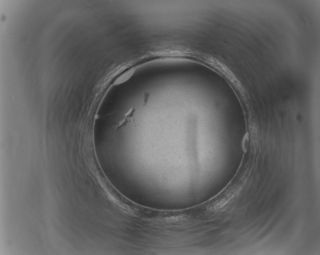 X0000078860433200611131207