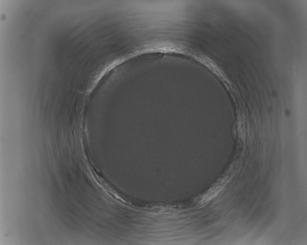 X0000078860434200611131207