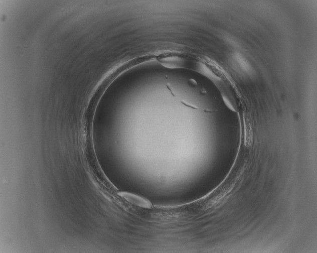 X0000078860435200611131207