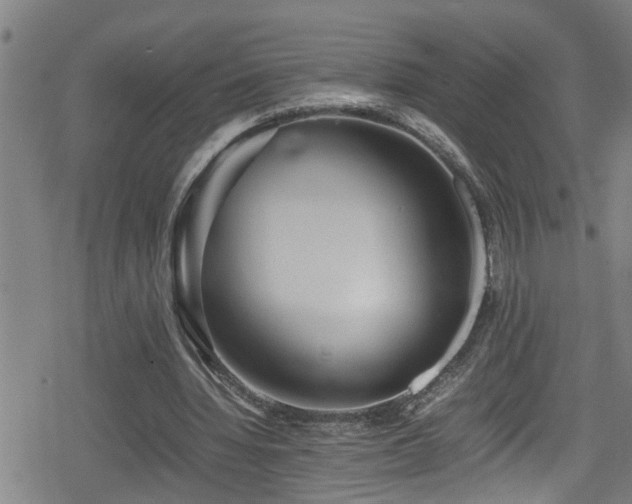 X0000078860436200611131207