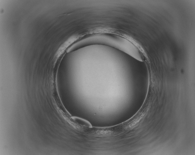 X0000078860437200611131207