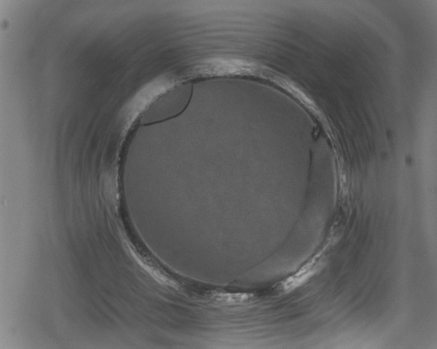 X0000078860438200611131207