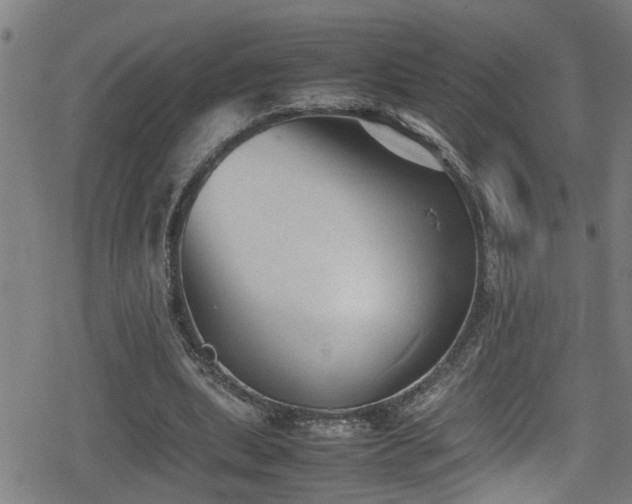 X0000078860439200611131207