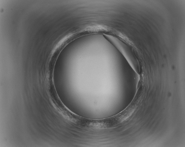 X0000078860440200611131207