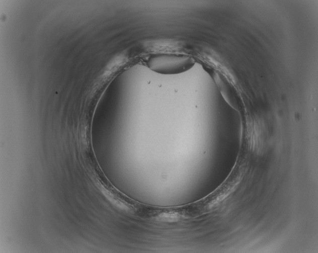 X0000078860441200611131207