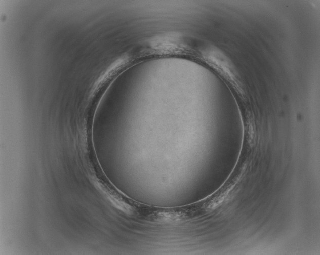 X0000078860442200611131207