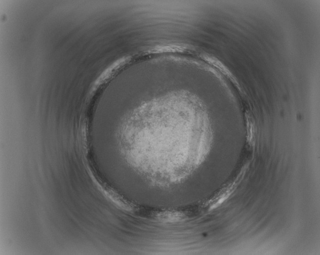 X0000078860444200611131207