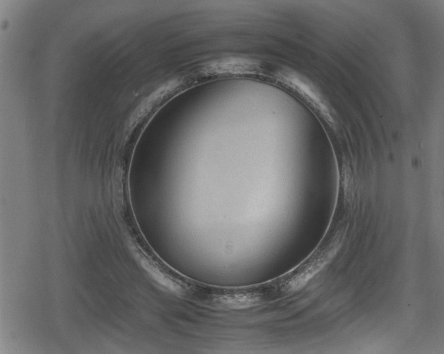 X0000078860445200611131207