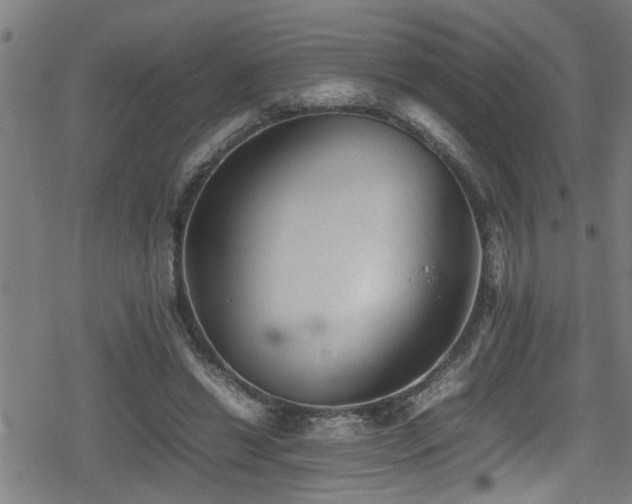 X0000078860446200611131207