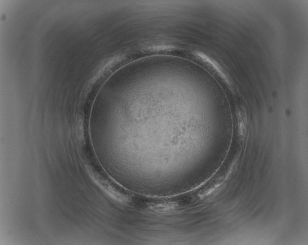 X0000078860447200611131207