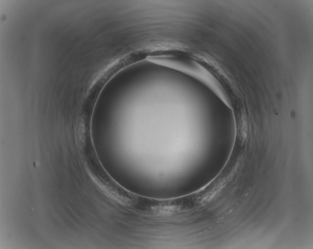 X0000078860448200611131207