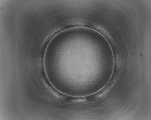 X0000078860449200611131207