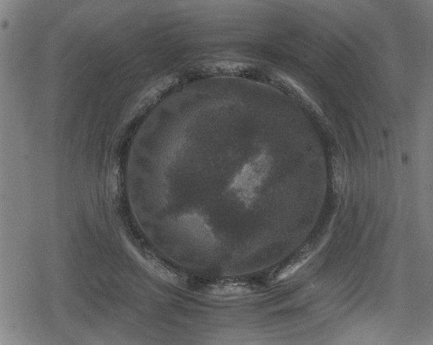 X0000078860451200611131207