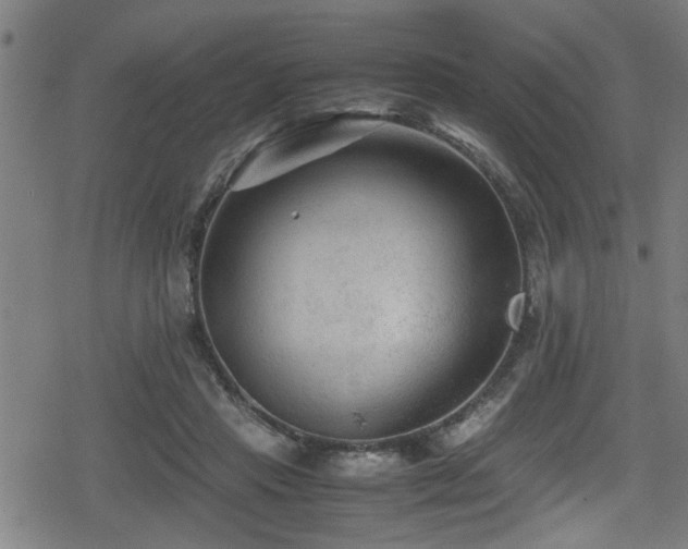 X0000078860453200611131207