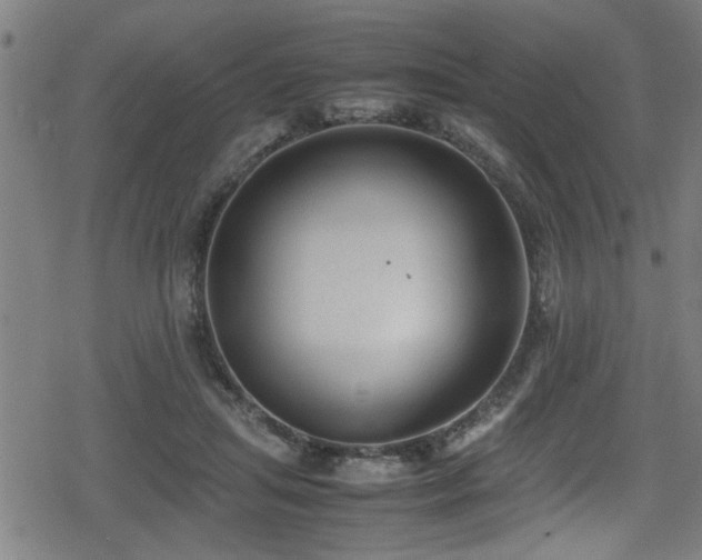 X0000078860455200611131207