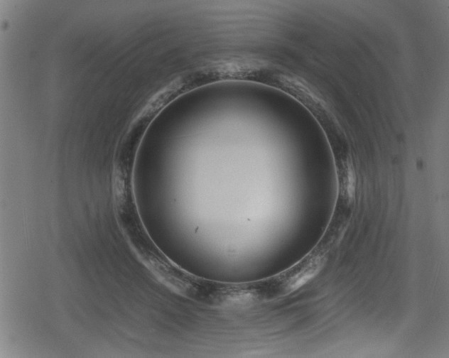 X0000078860456200611131207