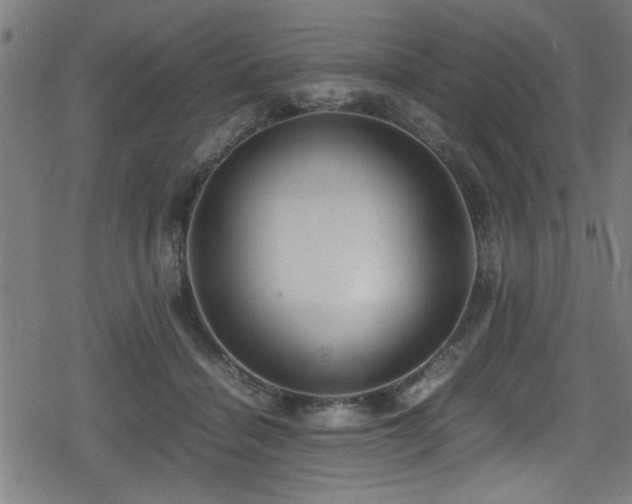 X0000078860460200611131207