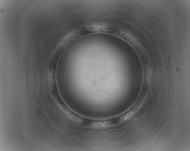 X0000078860461200611131207