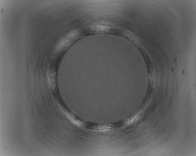 X0000078860462200611131207