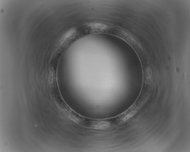 X0000078860463200611131207