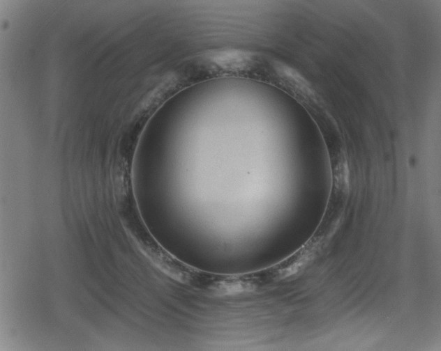 X0000078860464200611131207