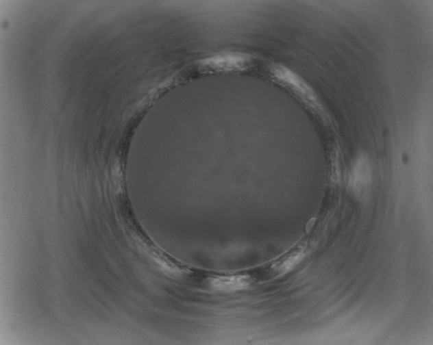 X0000078860465200611131207