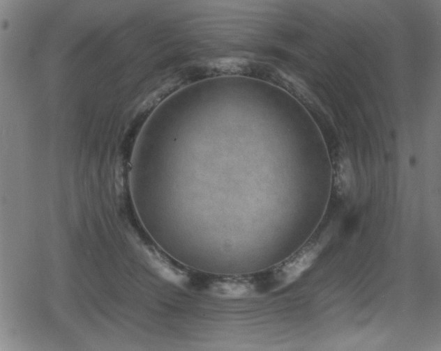 X0000078860466200611131207