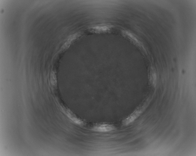 X0000078860467200611131207