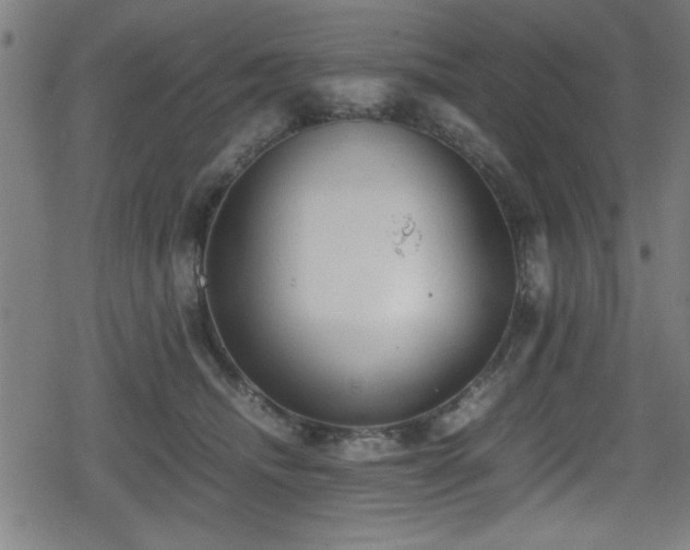 X0000078860468200611131207