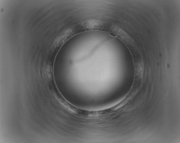 X0000078860470200611131207