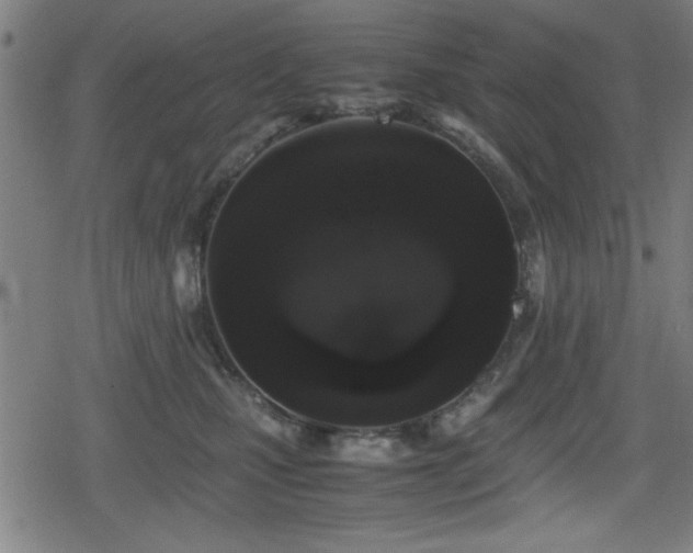 X0000078860471200611131207