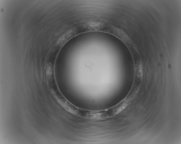 X0000078860472200611131207