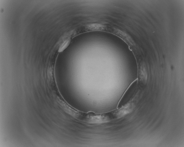 X0000078860473200611131207