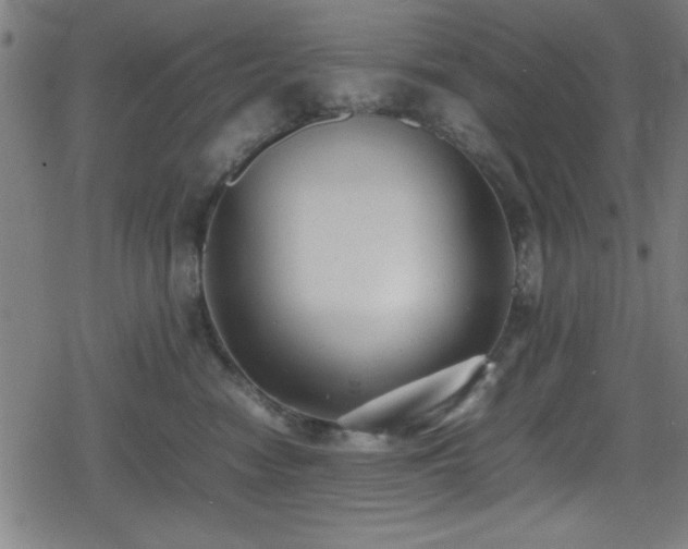 X0000078860474200611131207