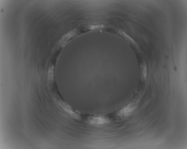 X0000078860475200611131207